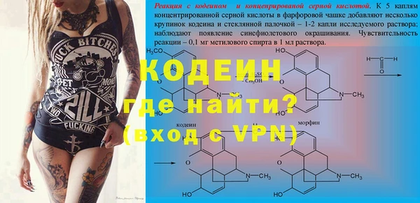 хмурый Абаза