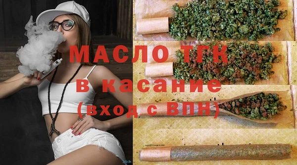хмурый Абаза
