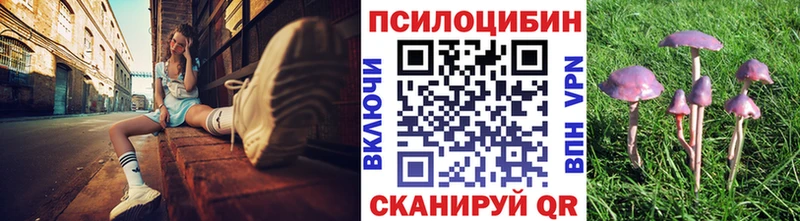 Псилоцибиновые грибы GOLDEN TEACHER  Сызрань 